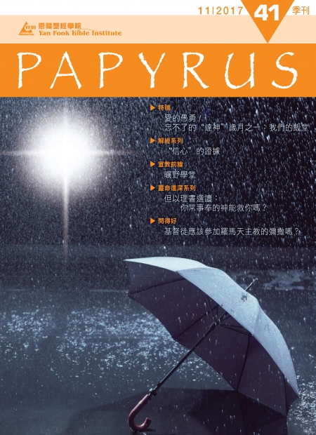 Papyrus 41